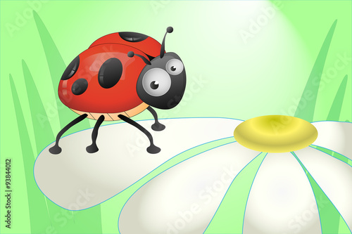 Ladybug sitting on a chamomile petal