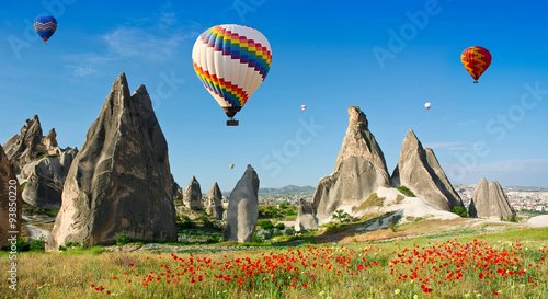 Hot air balloons flying over a field of poppies and rock landsca