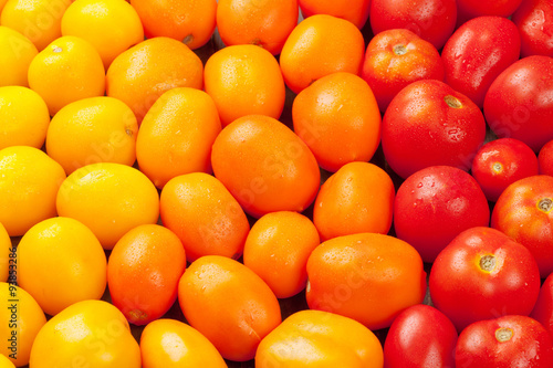 Colorful tomatoes. Yellow, orange and red