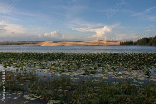 Sand dunes at the edge of a lake
 photo