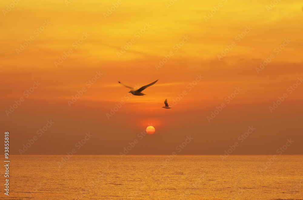 Beautiful sunset above the sea with birds