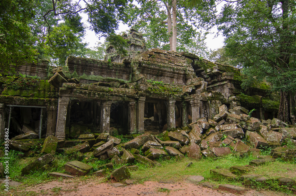 Ta Prohm Temple, Angkor Wat, Cambodia Ta Prohm Temple, Angkor Wat, Cambodia