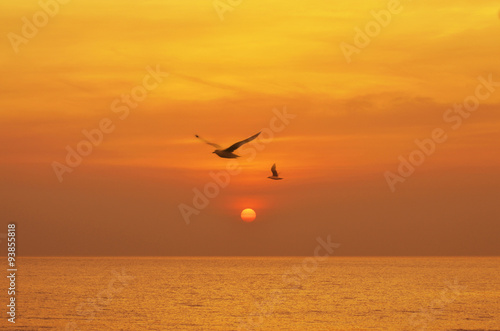 Beautiful sunset above the sea with birds