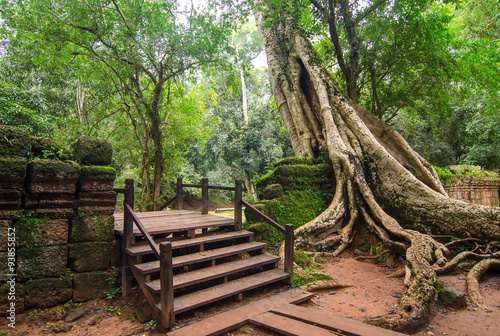 Ta Prohm Temple, Angkor Wat, Cambodia photo