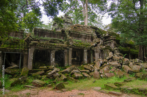 Ta Prohm Temple, Angkor Wat, Cambodia