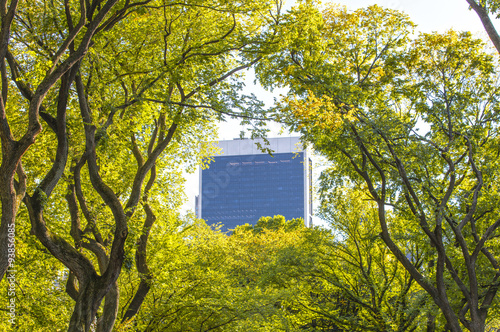 View from the Central Park of New York to skyscrappers