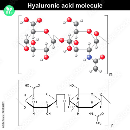 Hyaluronic acid molecule