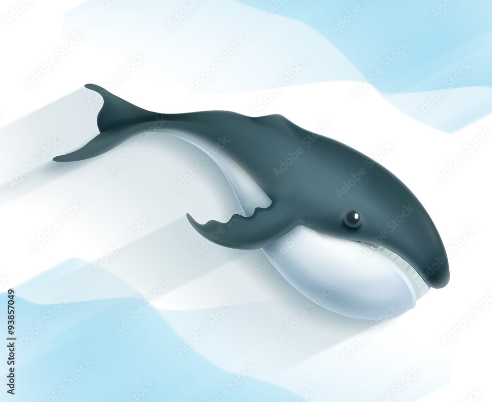Whale, vector icon