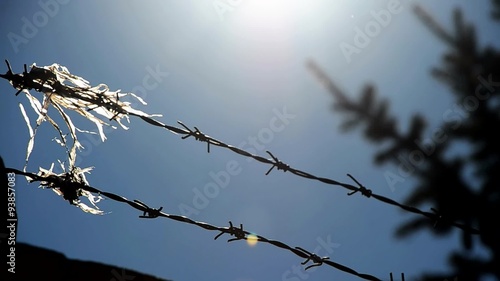 Fence with barbed wire