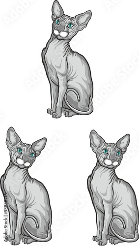 Set of sphynx cat. Vector illustration. Tattoo style.