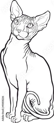 Sphynx cat. Vector illustration. Tattoo style.