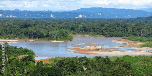 Tableau sur toile Amazon forest