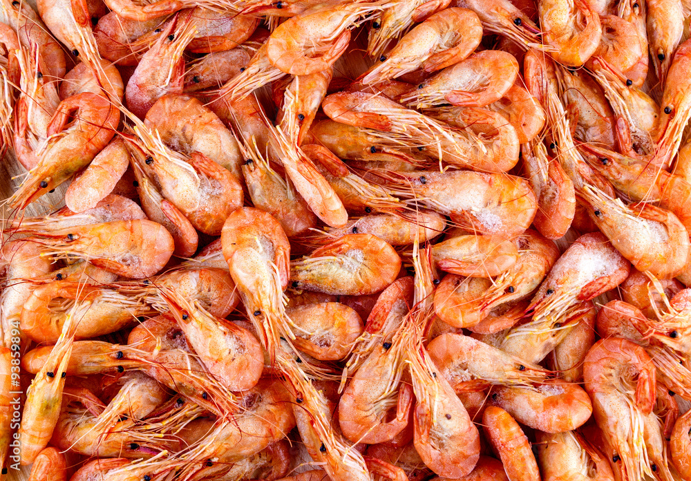Shrimp Shrimp