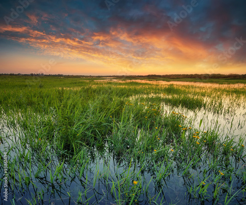 Sunset on lake in summer time. Beautiful natural landscape