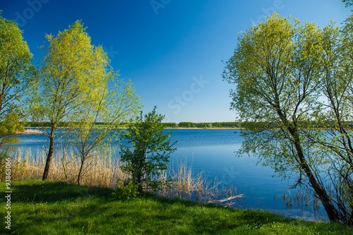 Fototapeta Naklejka Na Ścianę i Meble -  river bank with grass and trees Russia sunny day nature