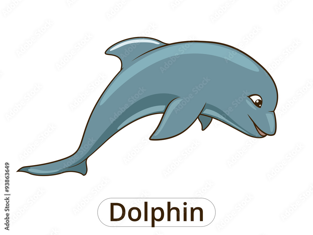 Dolphin sea animal fish cartoon illustration Dolphin sea animal fish cartoon illustration