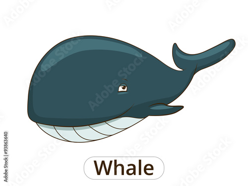 Whale sea animal fish cartoon illustration