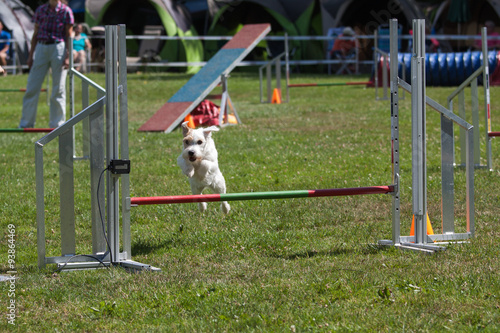 Agility