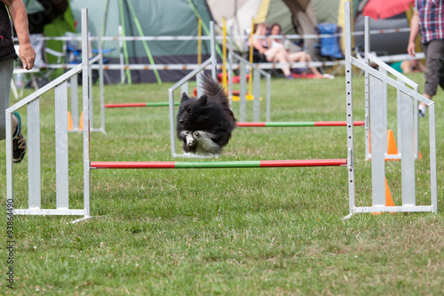 Agility