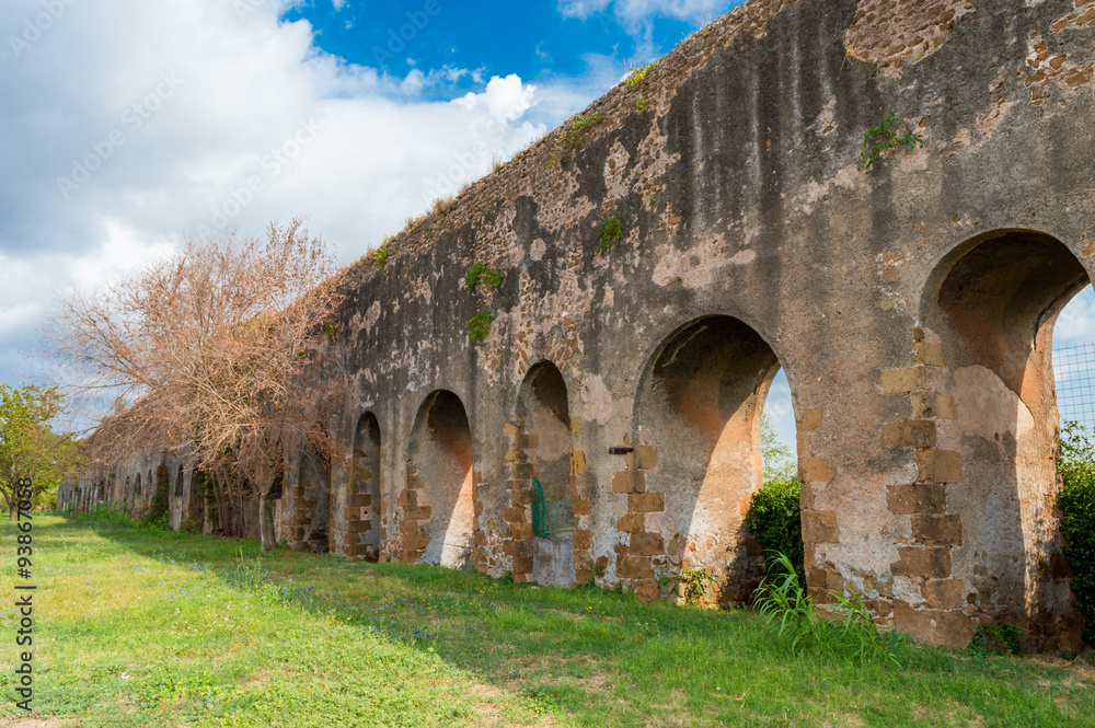 Fototapeta premium Italy, Rome, aqueduct