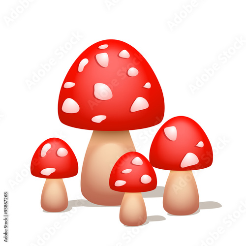 picture of mushroom