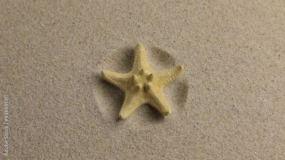 Approximation of starfish lying on the sand Approximation of starfish lying on the sand