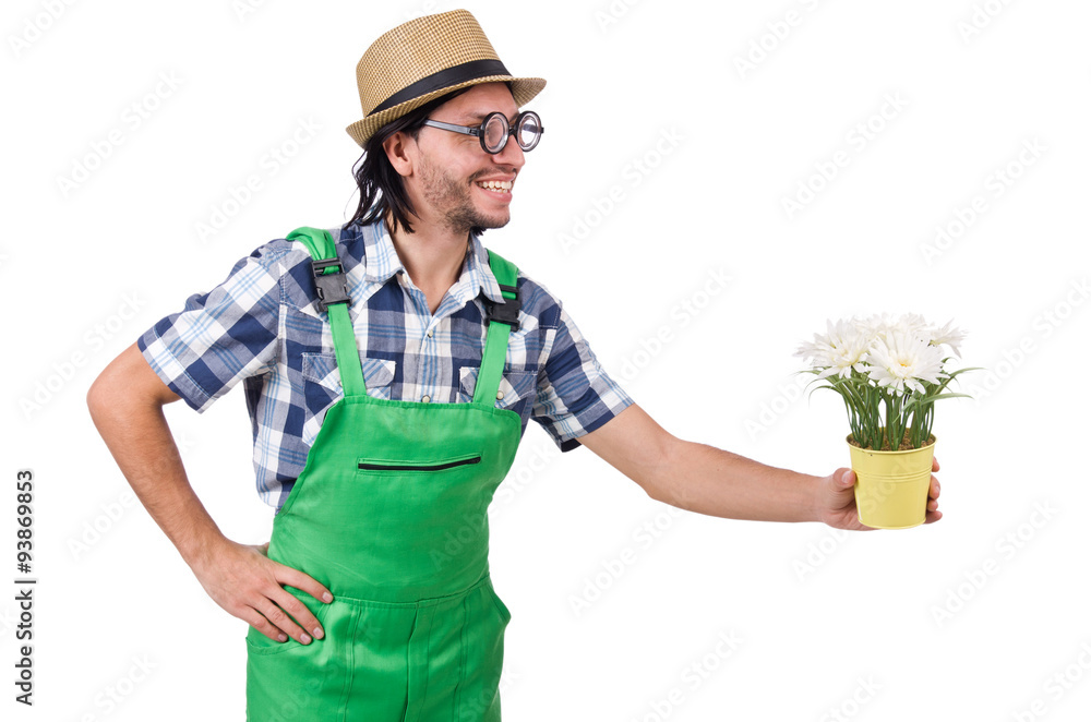 Man gardener with flowers on white Man gardener with flowers on white
