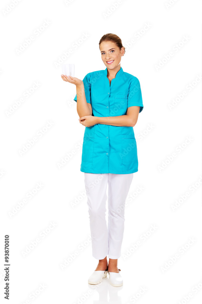 Young female dentist holding tooth model Young female dentist holding tooth model