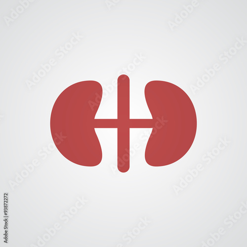 Flat red Kidneys icon