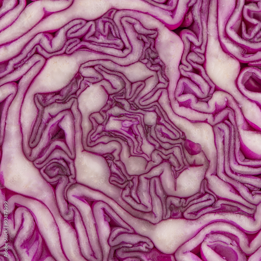 Close up view of a purple cabbage Close up view of a purple cabbage