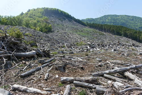 森林伐採　環境破壊　地球温暖化 © blew_f