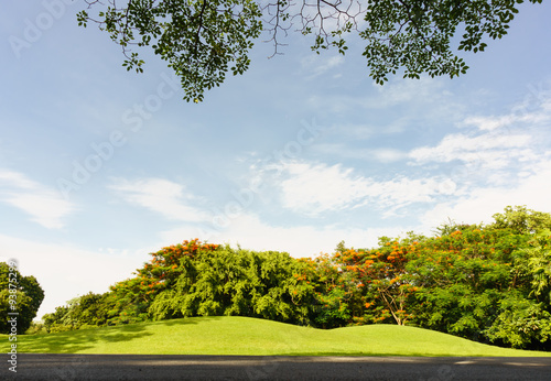 view under big tree in Public Park Vachirabenjatas Park  Rot Fai