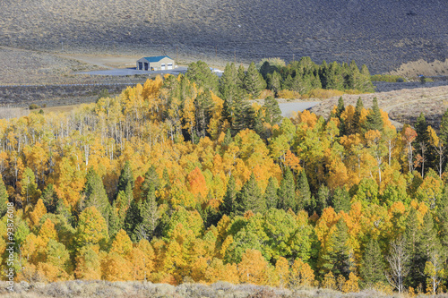 Beautiful fall color in California