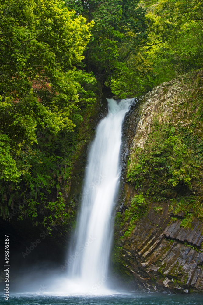 日本の滝　伊豆　浄蓮の滝