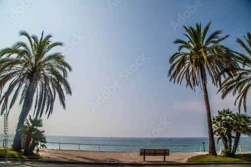 einsame Sitzbank ums  umt von Palmen mit Blick aufs Meer