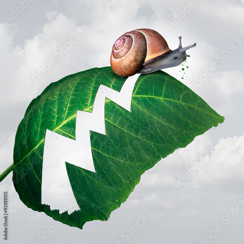 Foto Slow Profit Growth