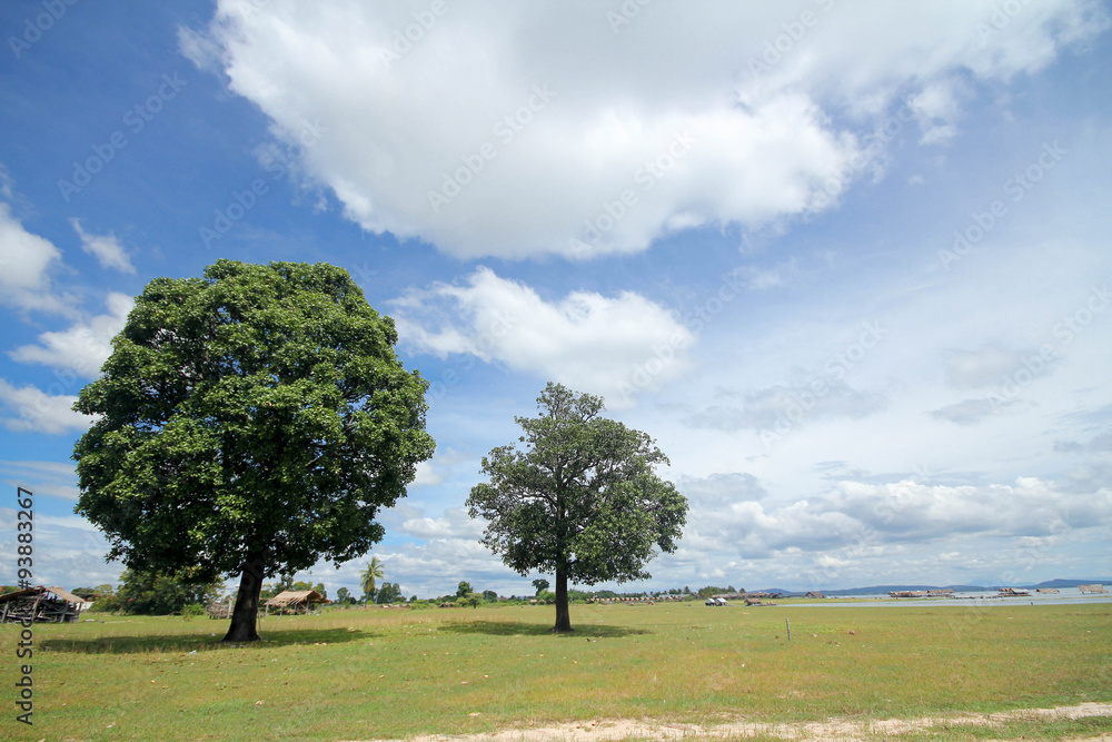 park outdoors nature background sun tree grass sky landcape park outdoors nature background sun tree grass sky landcape
