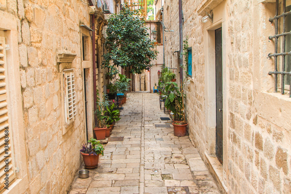 Plants vases in narrow street in the Old Town in Dubrovnik, Croatia, mediterranean ambient