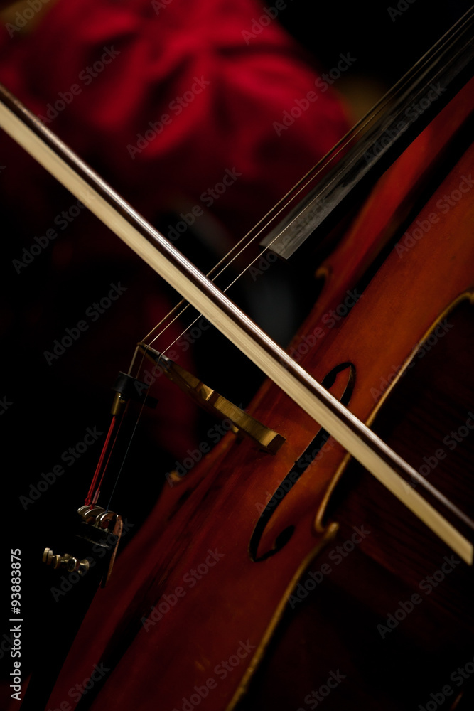 The fiddlestick on the strings cello closeup The fiddlestick on the strings cello closeup