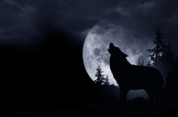 Wandcirkels Wolf Huilende wolf in maanlicht  © Tomasz Zajda