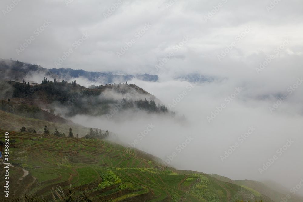 Fog in Longji (Southern China) Fog in Longji (Southern China)