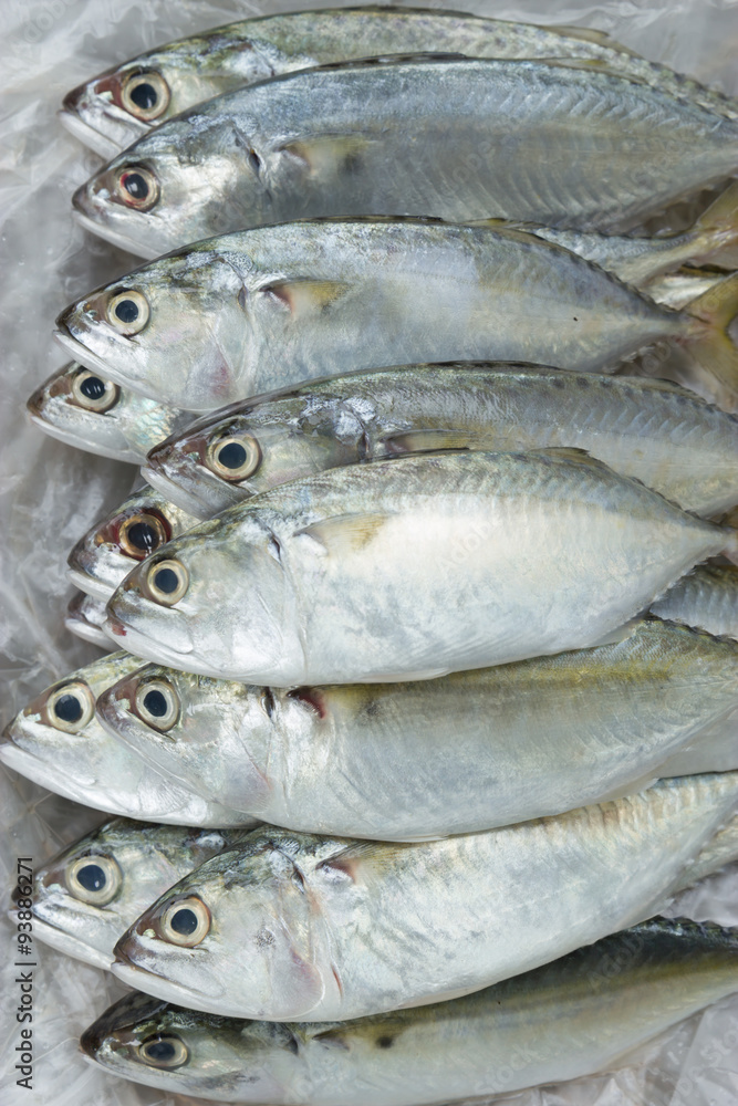 Fish in the Market Fish in the Market