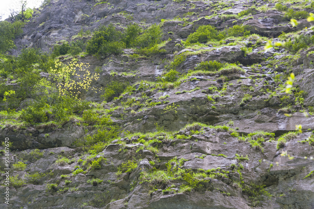 slope of the mountain slope of the mountain