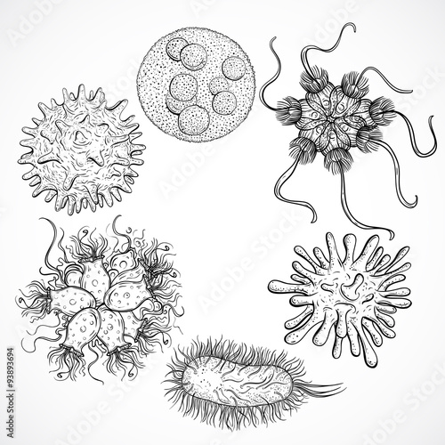 Microbes and viruses. Vintage design set. Black and white realistic isolated hand drawn vector illustration.