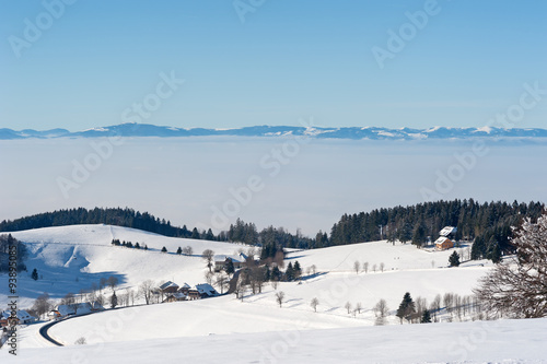 Black Forest in the winter