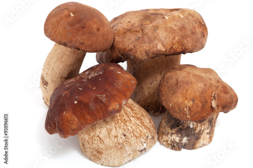 Group of mushrooms on white background