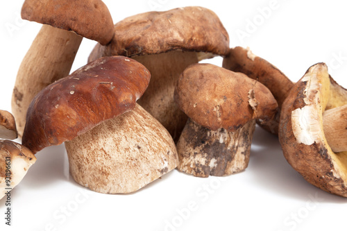 Group of fresh mushrooms closeup