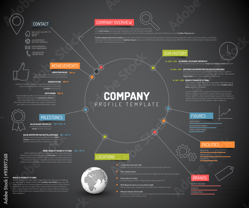 Vector Company infographic overview design template