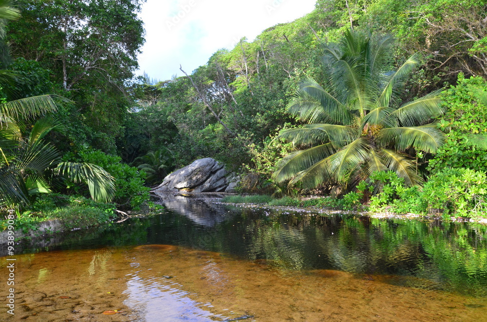 Fototapeta premium Tropical scenery near still pond
