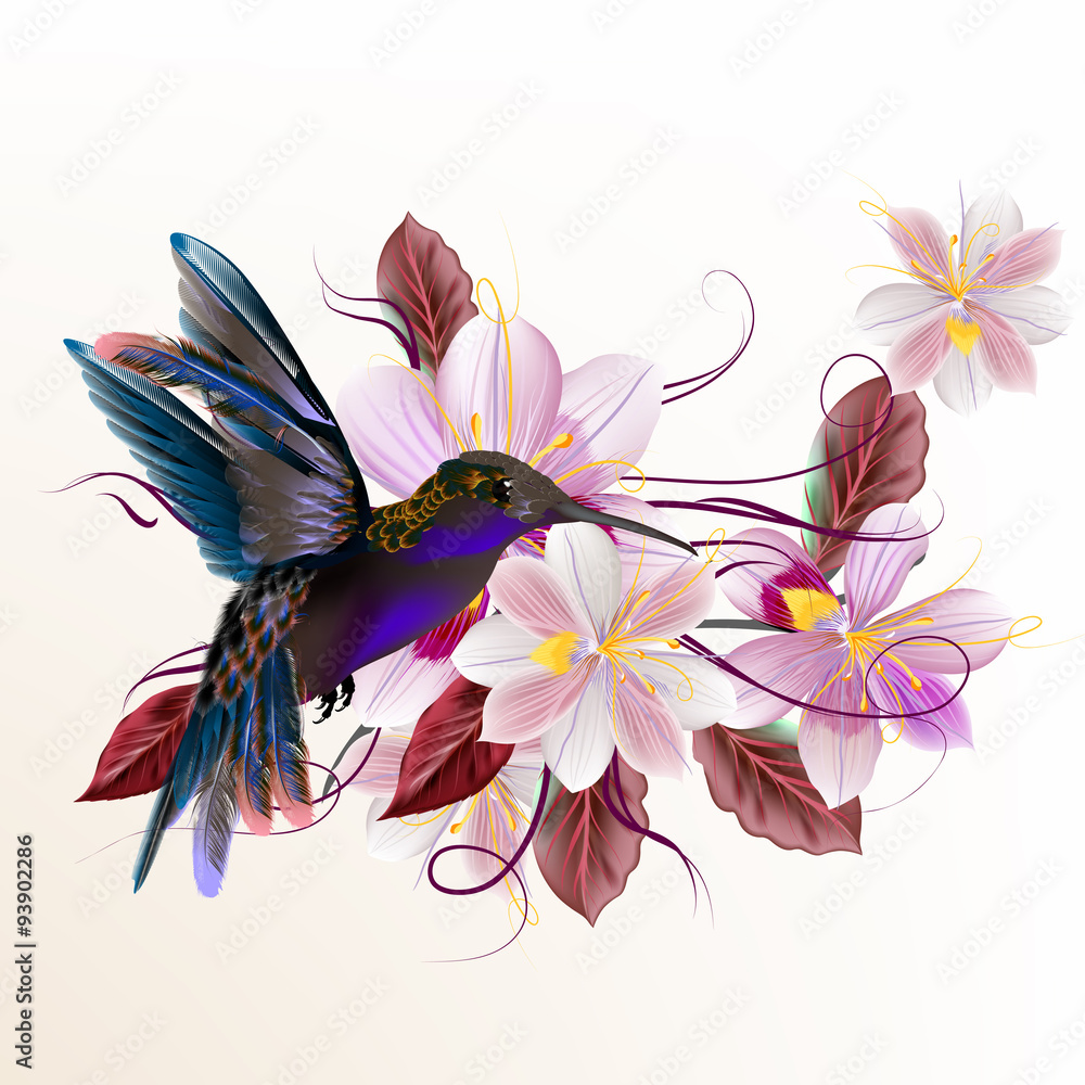 Vector illustration with realistic humming bird for design